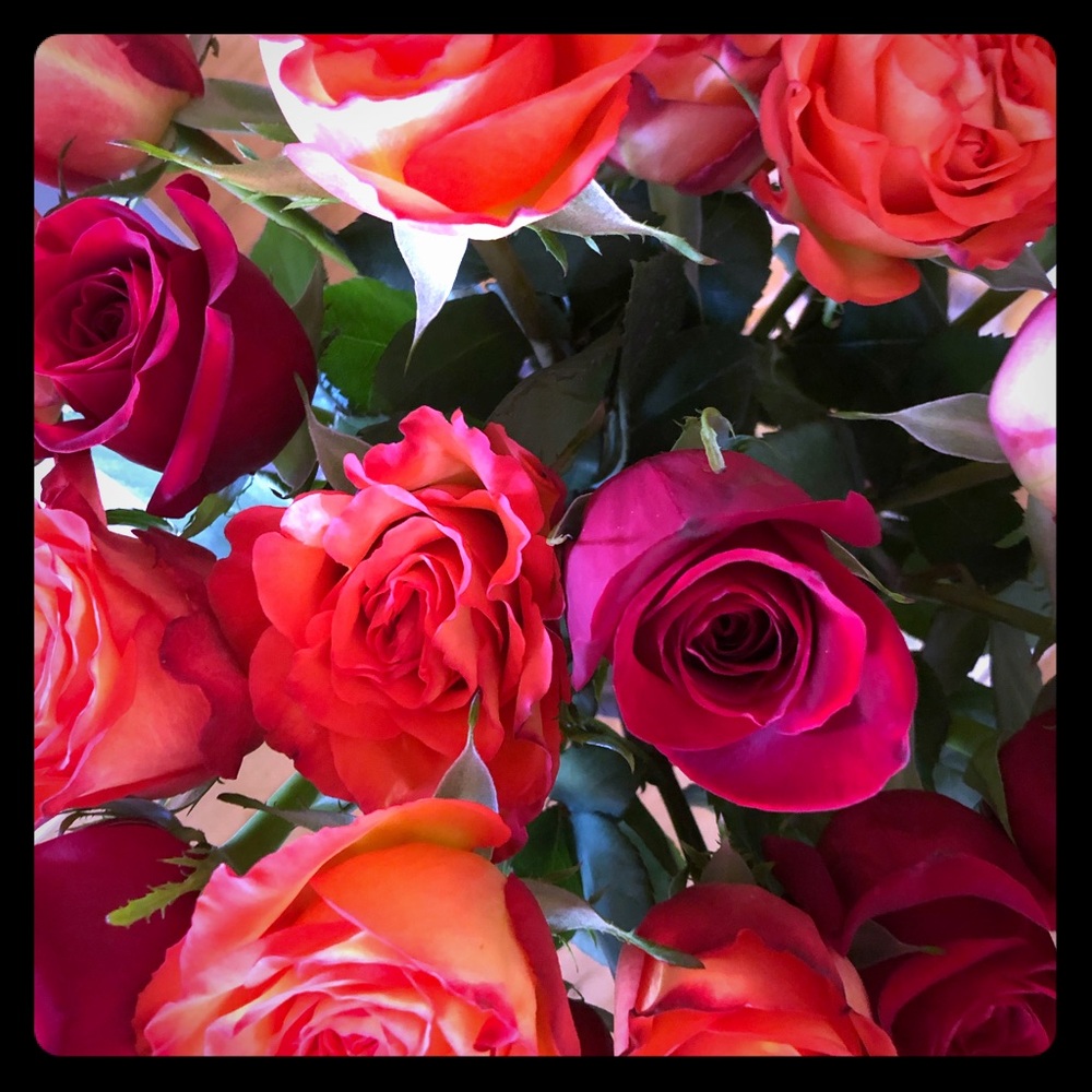 Meet your Posher, Stephanie